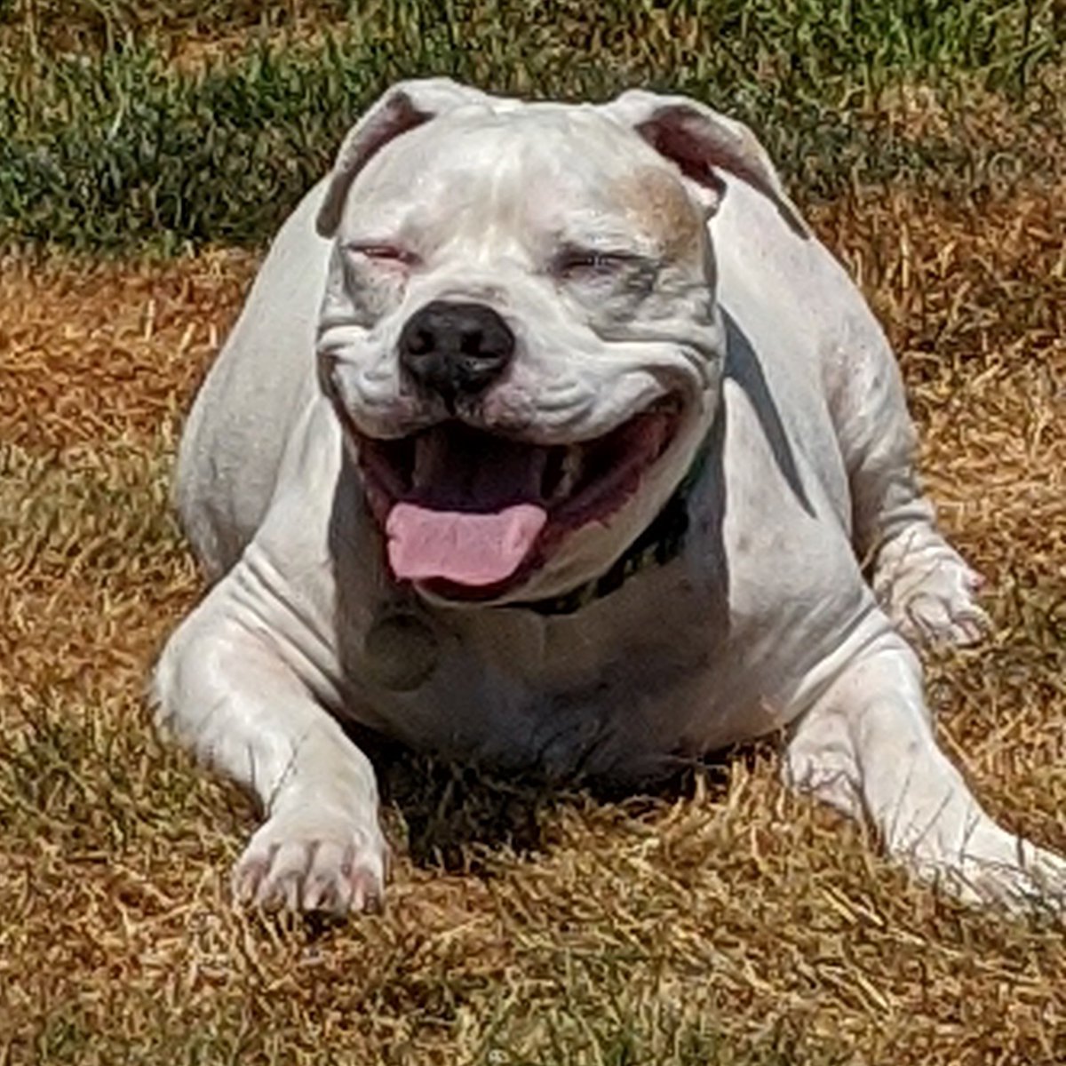 notcapsensitive's tweet image. #NewProfilePic