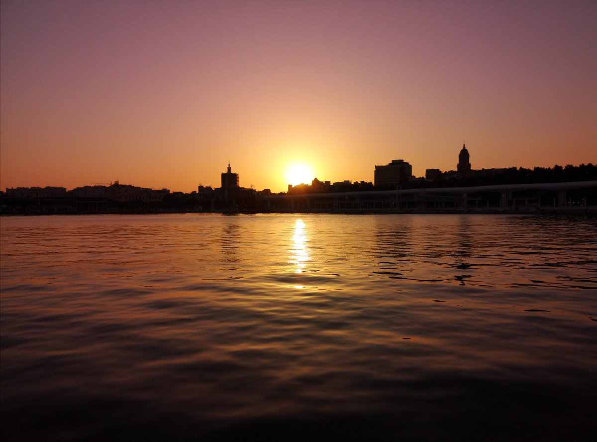 Fran Rico tweet media