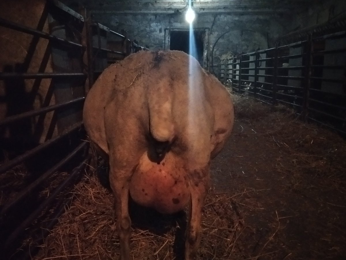 xaiecologic's tweet photo. Xaiarem o volarem, però alguna cosa farem. 
#Bombaaaa
#Fardant 😁😁 https://t.co/t3JfNSne1C