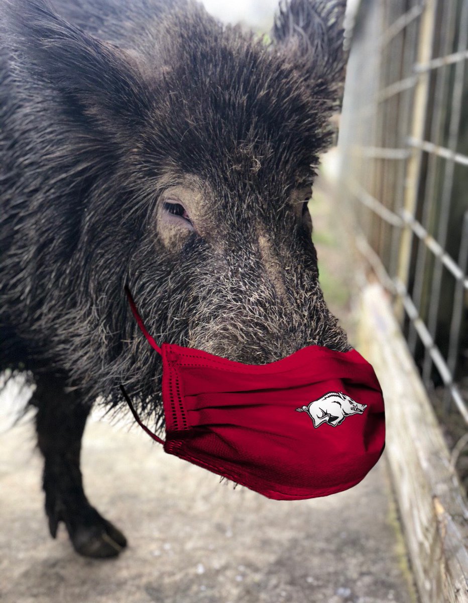 Let’s all do our part. MASK UP, <a href="/ArkRazorbacks/">Arkansas Razorbacks 🐗</a>! 👍🐗