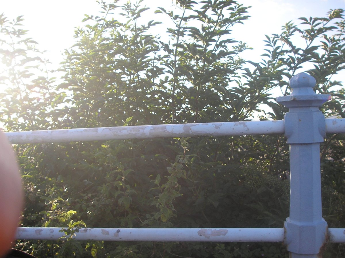 DisneySmagicMap's tweet photo. E 2 z One 4 sTartErs Name the Artiest &amp; Song. https://t.co/icZXj7RZcc