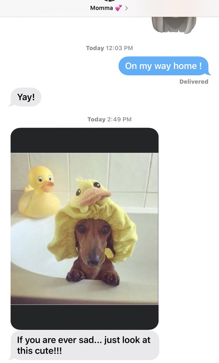 shellbeigh's tweet image. Seriously my mother is one of the best humans in the world 😢 

Hate having to say goodbye when I drop her off at the airport 😩