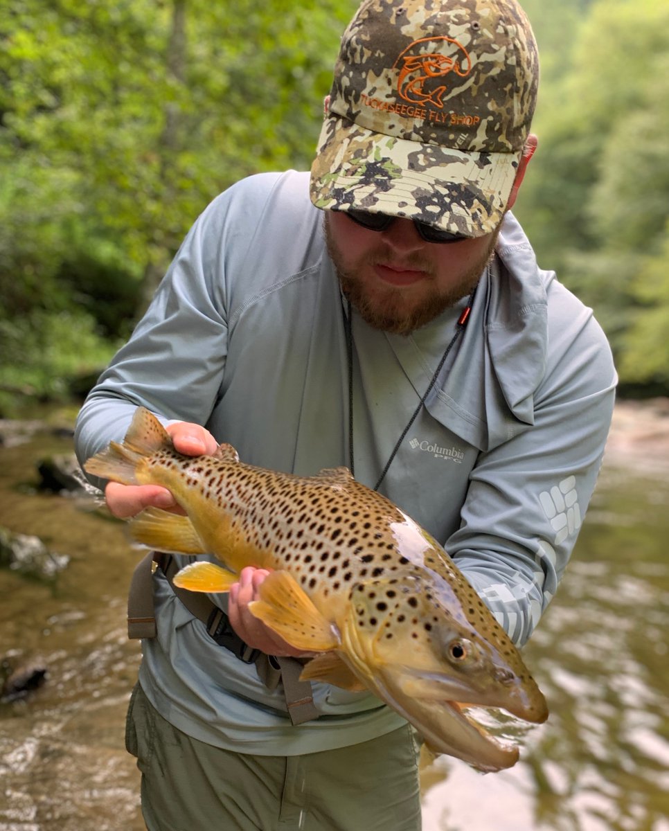 TuckRiverClub's tweet photo. Brown Trout
#TuckFlyShop #SylvaNC #BrysonCity #FlyFishNC #NCTroutCapital #CatchAndRelease #DiscoverJacksonNC #FlyFishing #WNCFLYFISHINGTRAIL https://t.co/cvZwX45cpe