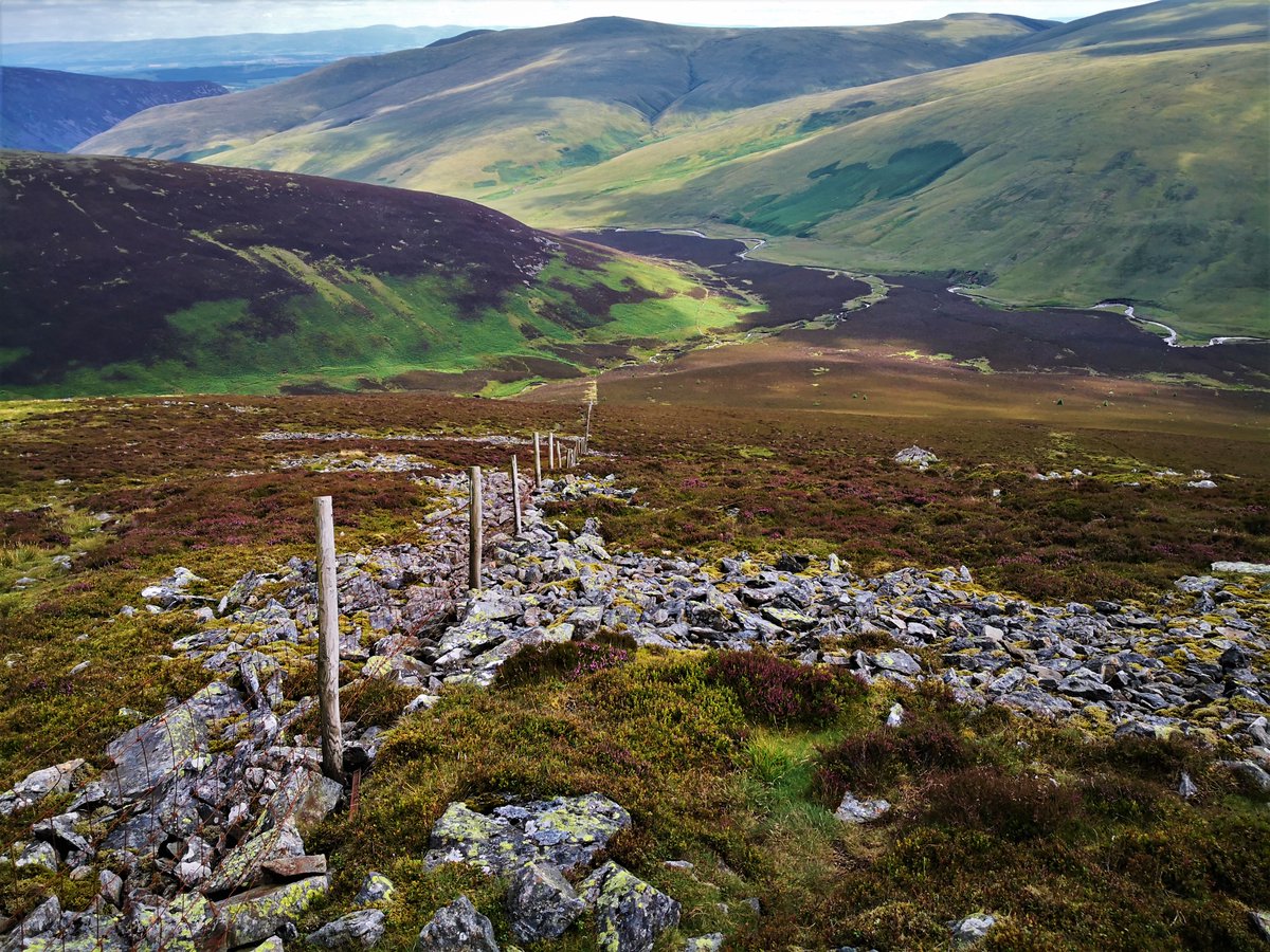 patski914's tweet photo. The heather is building in readiness for its stunning display this Autumn, on and around #GreatCalva in the North East of the #LakeDistrict โค๏ธ
@cumbriapictures @Cumbria_Lakes @StormHour @lakedistrictnpa @Headspace @alanhinkes #LeaveNoTrace https://t.co/tl1H0Bg8nO