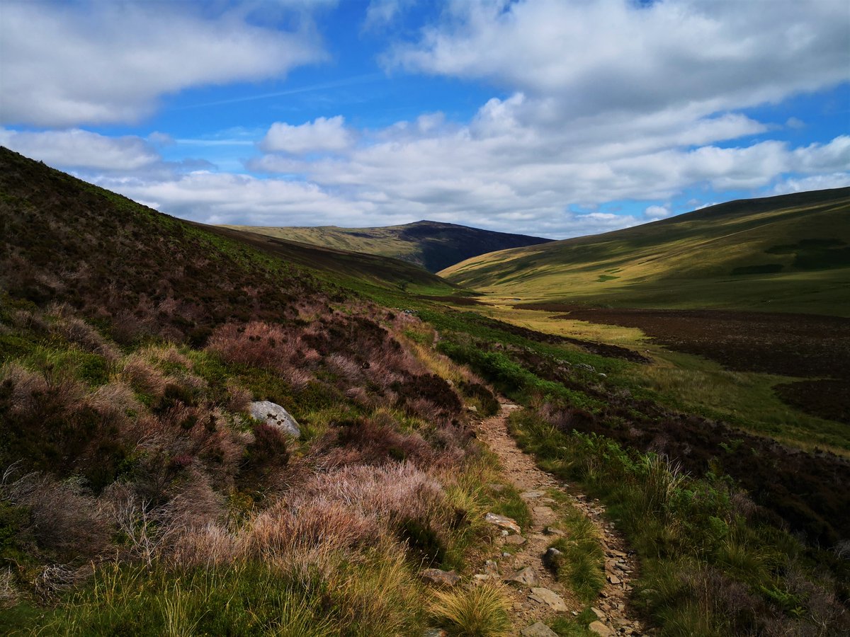 patski914's tweet photo. The heather is building in readiness for its stunning display this Autumn, on and around #GreatCalva in the North East of the #LakeDistrict โค๏ธ
@cumbriapictures @Cumbria_Lakes @StormHour @lakedistrictnpa @Headspace @alanhinkes #LeaveNoTrace https://t.co/tl1H0Bg8nO