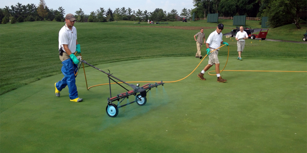 SyngentaTurf's tweet photo. NEW BLOG from @GlobalTurf: leadership is NOT assuming your staff knows what you know.
His example: PGR use on golf course #turf and the benefits they provide: https://t.co/9sSZjJa6ks
#Time4PrimoMaxx https://t.co/SvA1kJArIR