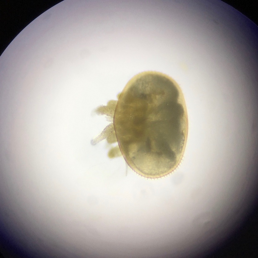 michael8bugs tweet picture