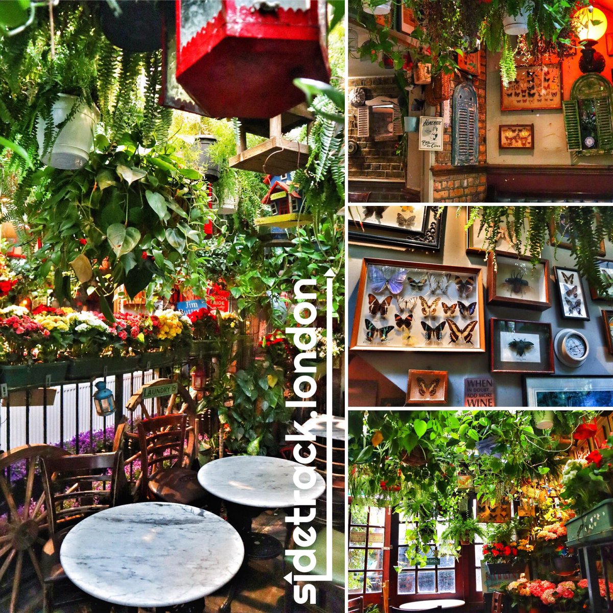 ❤️#DecorGoals: #Plants, #birdhouses & #antiques in The Butterfly Room Thai restaurant at @ChurchillArmsW8 in #NottingHill 🌱

 #decor #decorideas #interior #interiors #interiordesign  #plant #greenery #antique #quirky #quirkydecor #pubdecor #pub #restaurantdecor #london #bar