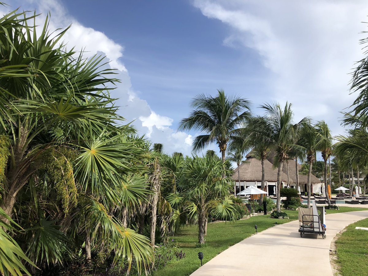 I had forgotten, in the years since I’ve been here, how much I love México and its people, culture and amazing food. For those who might travel shame, I quite frankly feel safer here than in the US. And they are diligent!!!