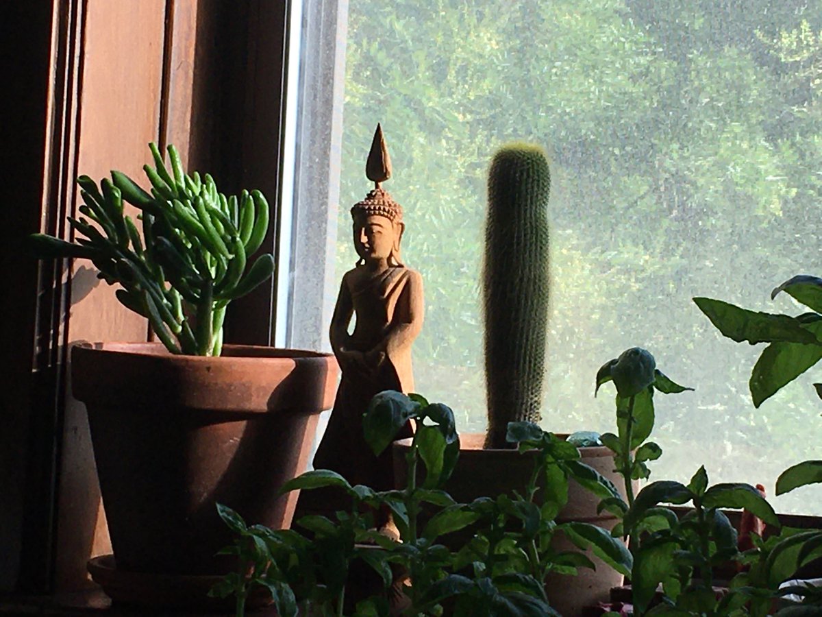 alicci's tweet photo. #Buddha #thailand #serenity #woodcarve #flame. Just sitting on the sofa, admiring my little Buddha. https://t.co/P0bfHZAb9h