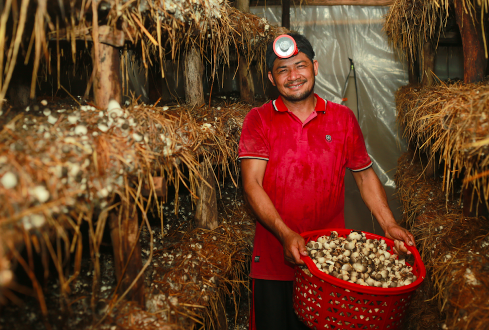 worldhopeorg's tweet photo. In 2019, our Mushroom Cultivation Program allowed 121 families to run 182 mushroom grow houses, which supported the livelihood of 556 individuals &amp; their community. #SocialVentures like this program offer #sustainable economic opportunity to vulnerable communities! @dfat https://t.co/PltLascjmT