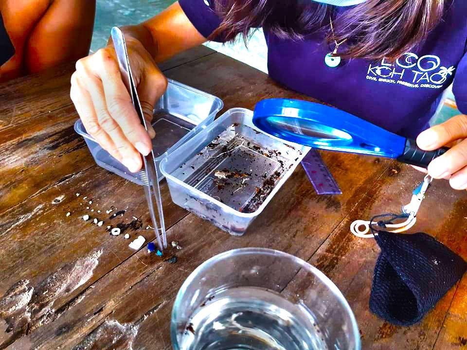 ecokohtao's tweet photo. #Microplastics are one of the biggest issues facing the oceans at this time. A new study suggests that we ingest on average 5gms of #plastic each week, the equivalent of a credit card. 
•
#girlsinoceanscience #oceanissues #plasticpollution #microplastic #lessplastic https://t.co/IuK9yPGHv4