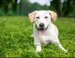 Just 60 minutes with us will give you a whole new outlook!
morgantownescaperoom.com

#boredomcure #letsplay #motownescaperoom