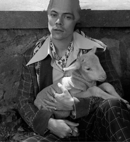 Baldy_Styles's tweet image. tb to my gucci photo shoot.  the lamb was so cute🥺🥺