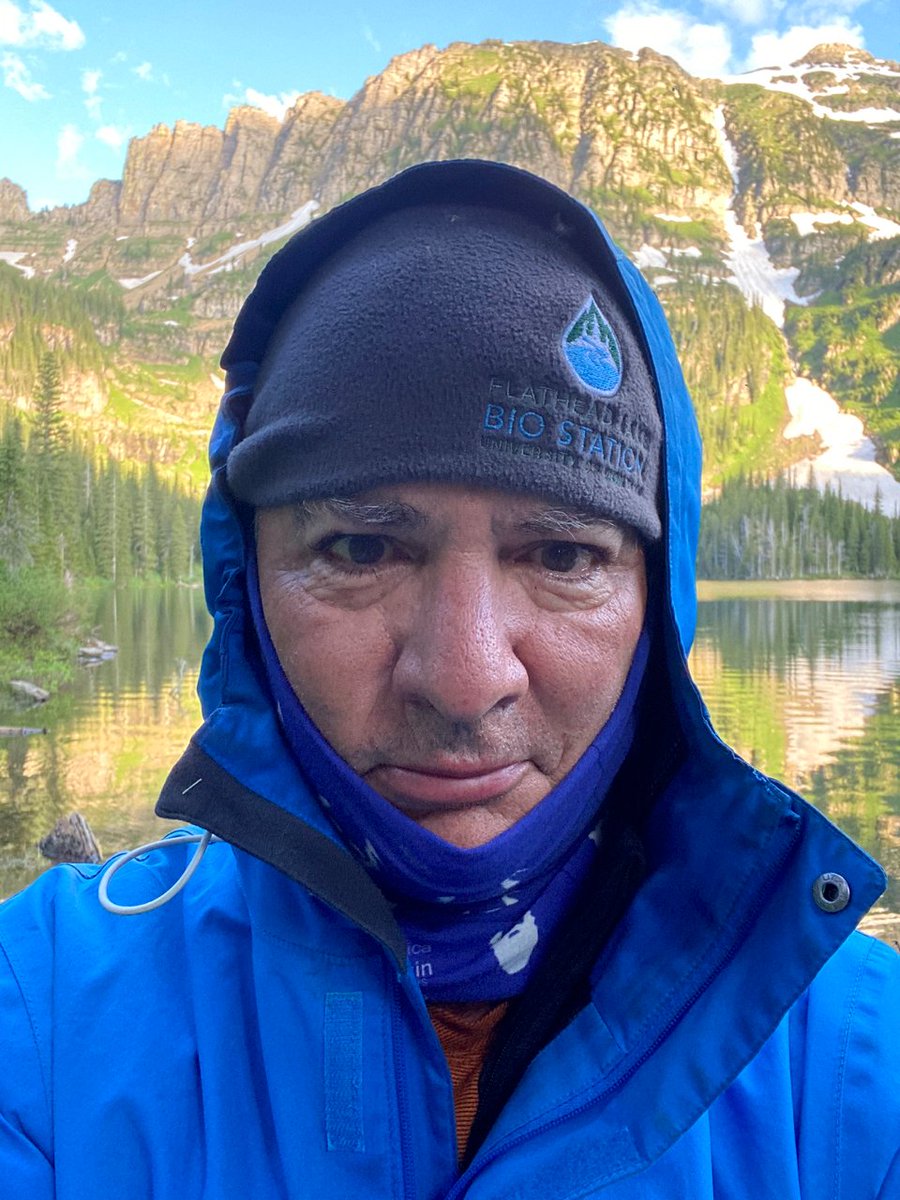 Yes, the things you see flying around are not birds or bats. They're mosquitoes. MANY MANY MANY. This is my anti-mosquito outfit.