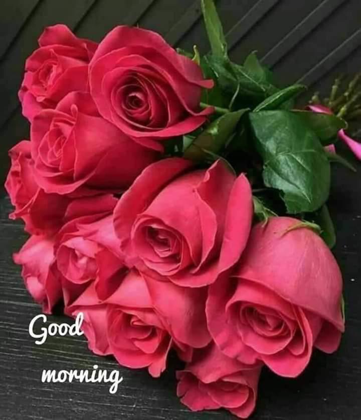 Mirella 🇨🇱Vásquez Ullo tweet media