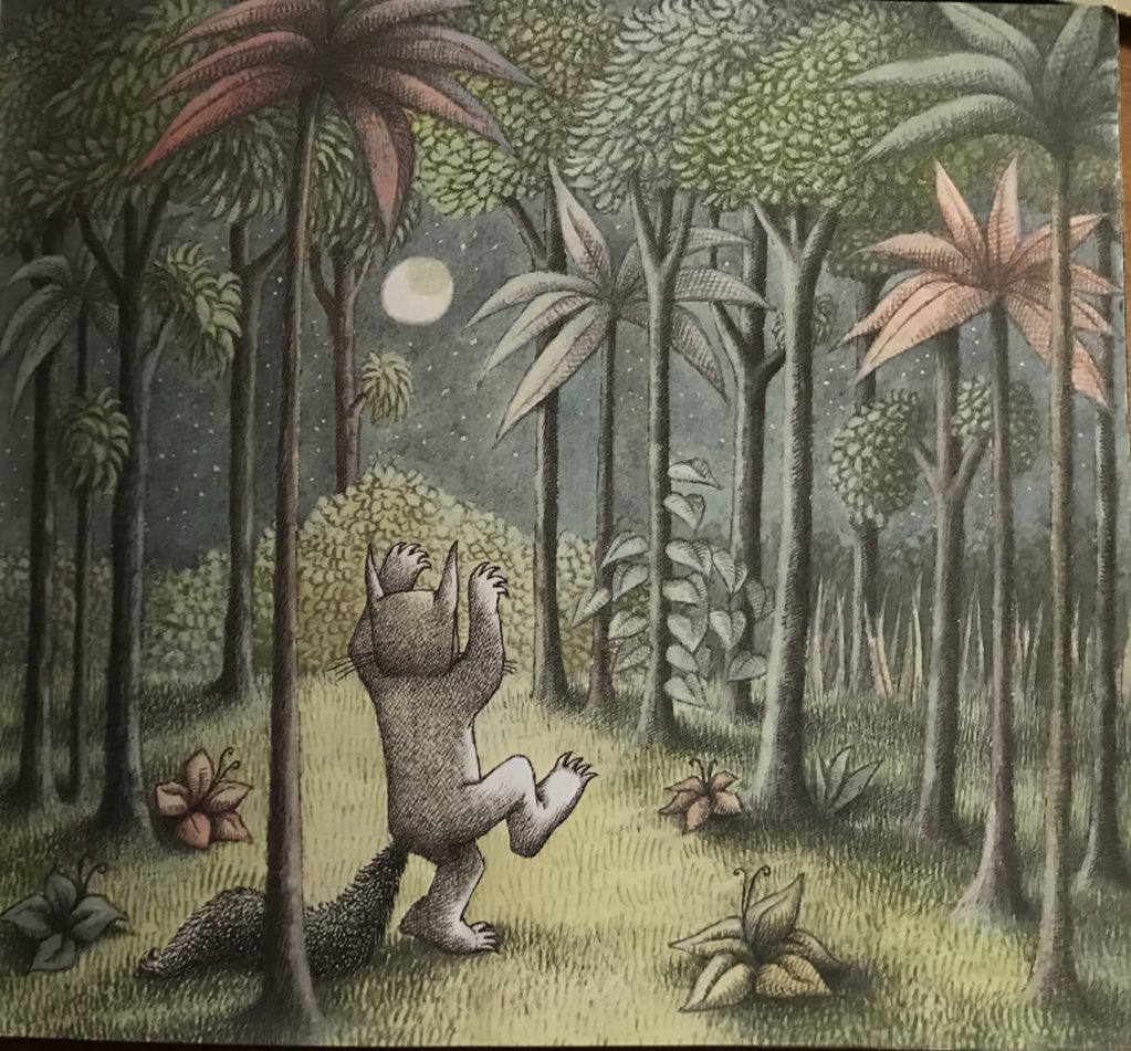 Eventually his world has been transformed. Knowledge of substantive concepts have been fleshed out and detailed knowledge has embellished his room. 4