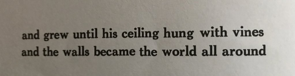 Eventually his world has been transformed. Knowledge of substantive concepts have been fleshed out and detailed knowledge has embellished his room. 4