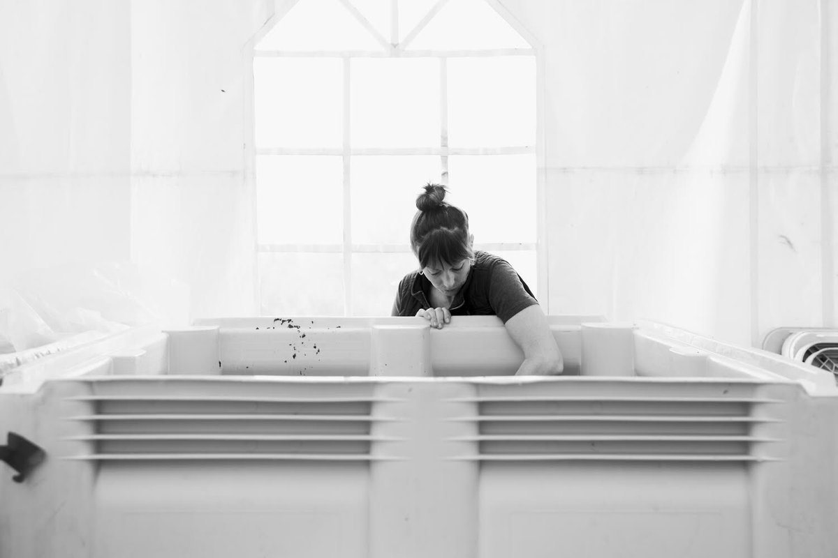 "The Final Flight" is a tribute to the oft-airborne tent <a href="/BrynMawrVyds/">Bryn Mawr Vineyards</a> winemaker Rachel Rose called "winery" until the 2018 vintage. Their first Pinot made within walls, it was shaped by years without them, battling wind and rain. Learn more: willamettewines.auction/instapinot #wvauction