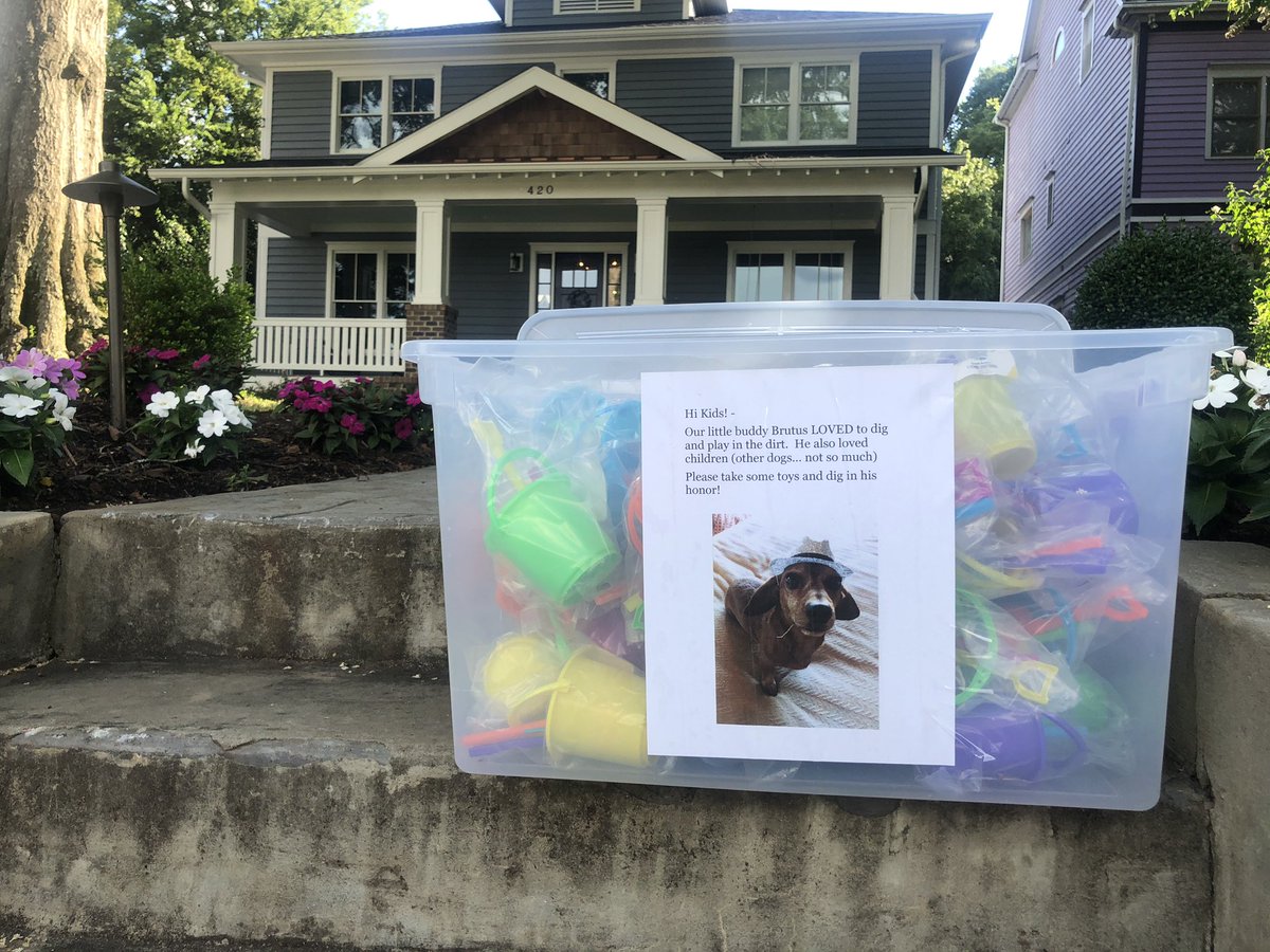 LevinsReports's tweet photo. Such a sad sweet beautiful thing that caught my eye walking around Dilworth today. 💔 RIP Brutus https://t.co/gsLwhpmMzm