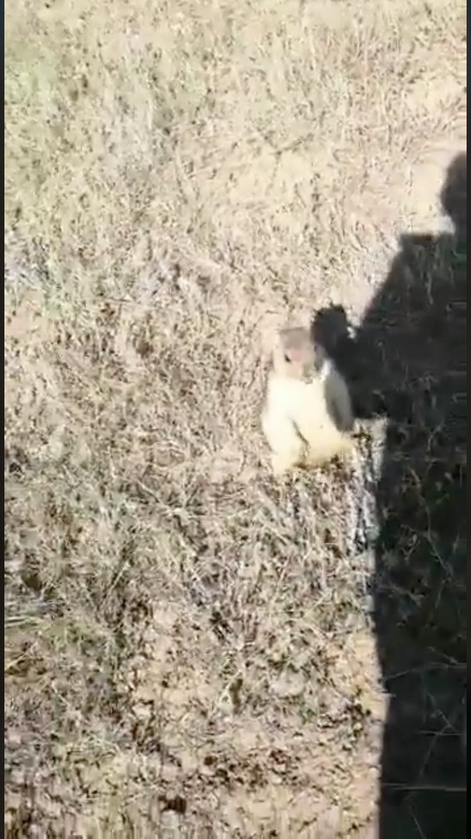 “Hostia la mascarilla...”