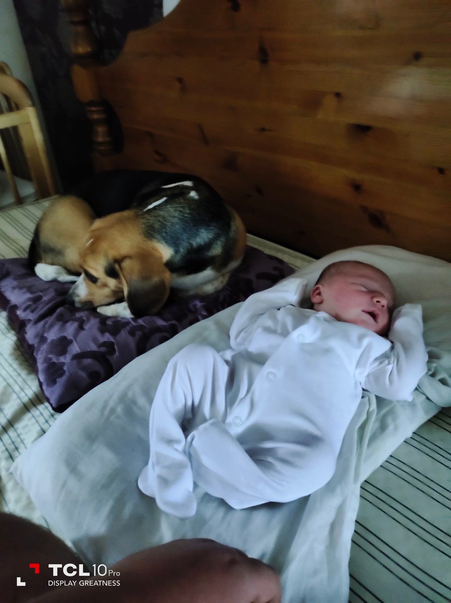 Me and my new brother and new member to the pack 🦮👶🍼💙