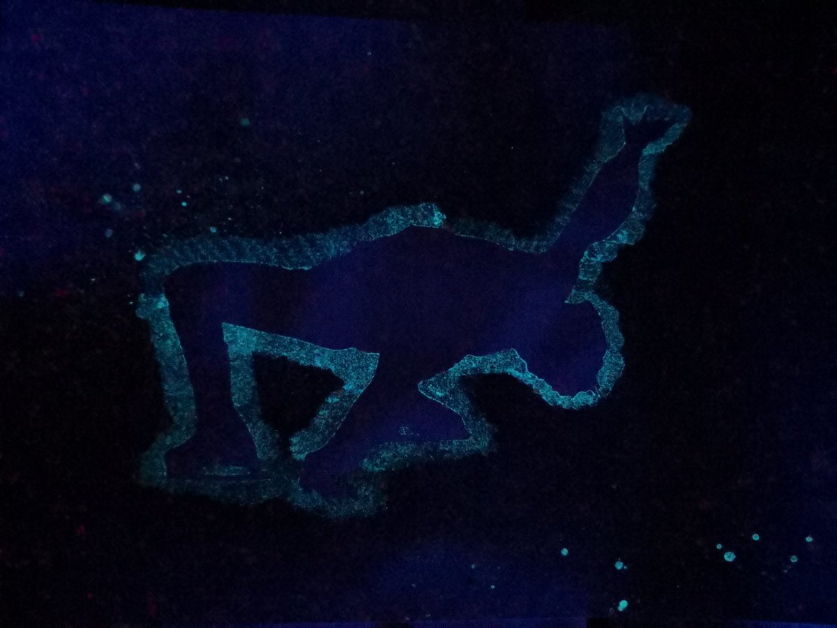 Dornrschen8's tweet photo. So this actually inspired an experiment a #shomart that glows in the dark. #sholy #ShomaUno https://t.co/9KIlWQ3Glo