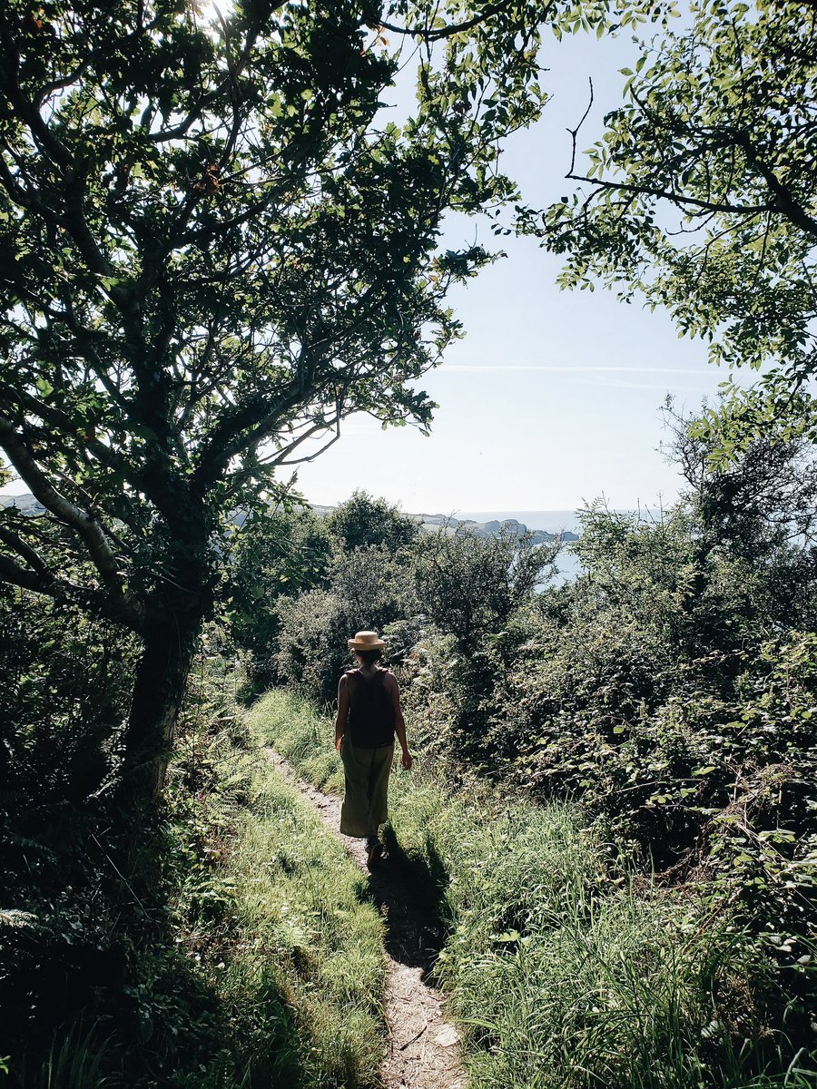colourlyco's tweet photo. Walks can do wonders 💭 take time out of the day to wander, physically &amp; mentally 🍃 hope you're having a #chill day wherever you are ♡♡ #mondaythoughts #mindfulness https://t.co/WKTxJCOfpb