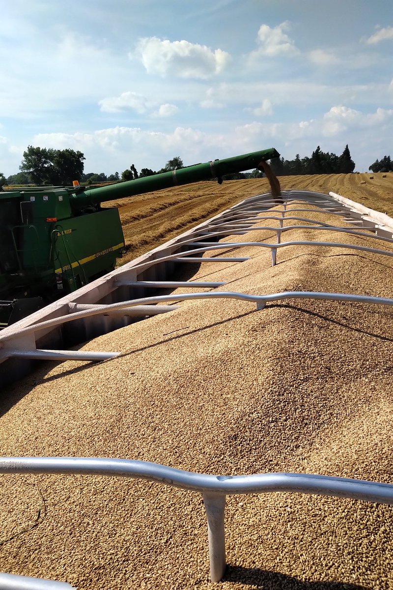 tanderso463's tweet photo. Busy and hot 2020 winter wheat harvest https://t.co/KN7muYSL6E