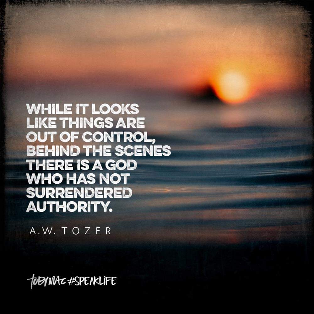 Dawn Marie 🇺🇸✝ tweet media