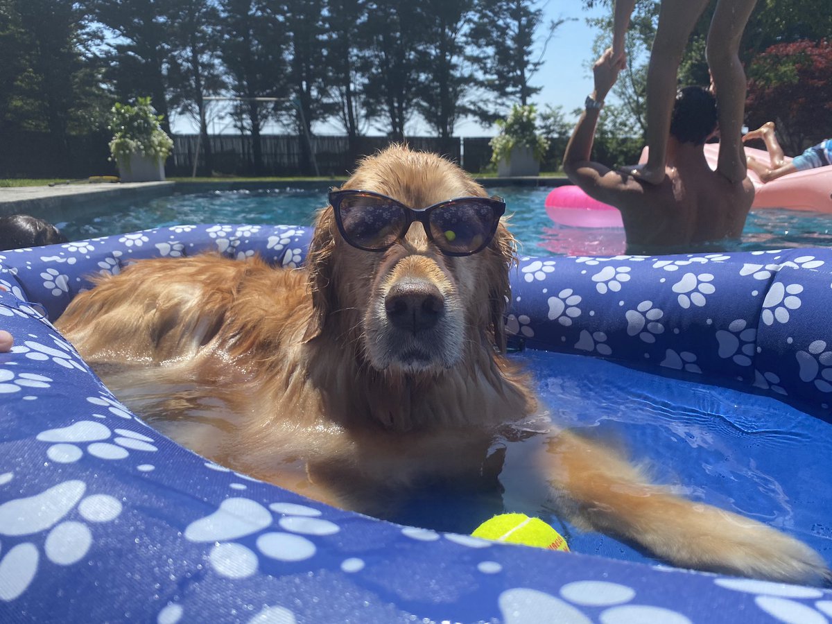 Thinks Wife tweet media