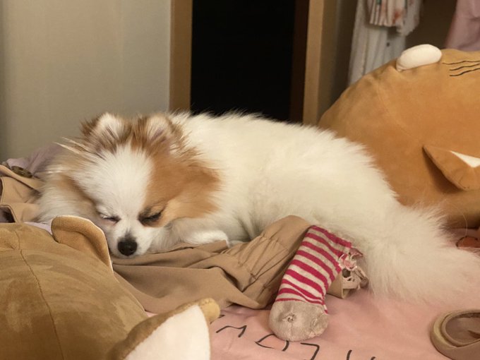 Watch ✨𝓐𝓷𝓪 𝓒𝓱𝓾𝓾 💫𝐹𝑅𝐸𝐸 𝐹𝒮𝐿𝒴 + 𝒪𝐹🔥's leaked NSFW photo on TwXstars