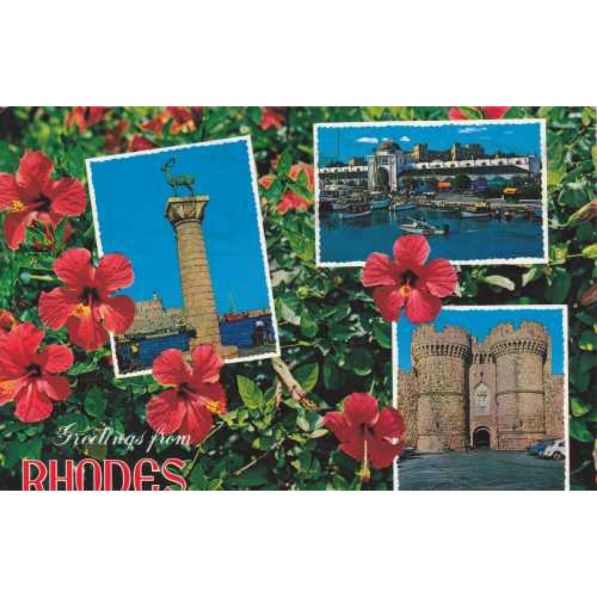 PostcardCollec's tweet photo. Postcard from my collection 
#greece #rhodos #rhodes   #postcard  #notfortrade https://t.co/DQeYj06vXy