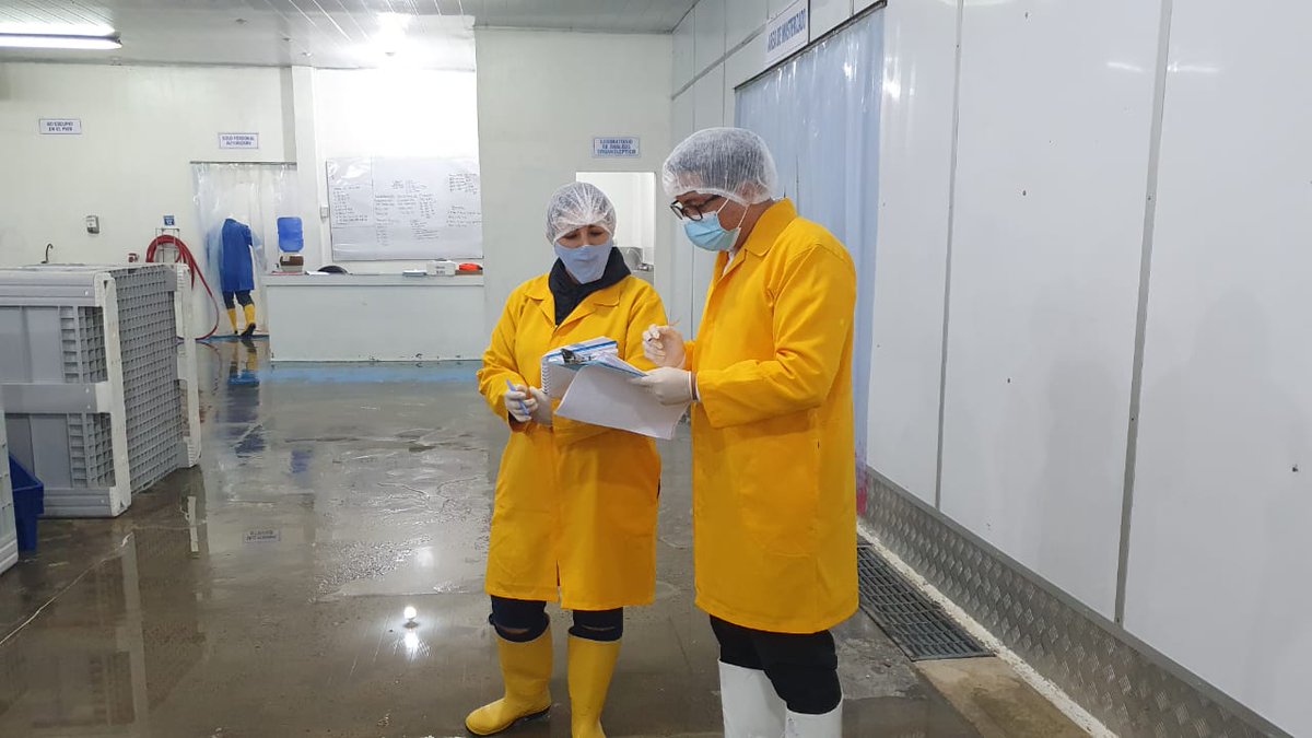 MinTrabajoEc's tweet photo. #MDTLoja | Realizamos #InspeccionesLaboralesEc en #Machala, a fin de verificar el cumplimiento de la normativa y la aplicación correcta de los protocolos de Seguridad y #SaludLaboralEc a favor de los trabajadores. https://t.co/fgKF4CedvD