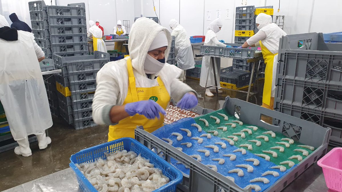 MinTrabajoEc's tweet photo. #MDTLoja | Realizamos #InspeccionesLaboralesEc en #Machala, a fin de verificar el cumplimiento de la normativa y la aplicación correcta de los protocolos de Seguridad y #SaludLaboralEc a favor de los trabajadores. https://t.co/fgKF4CedvD