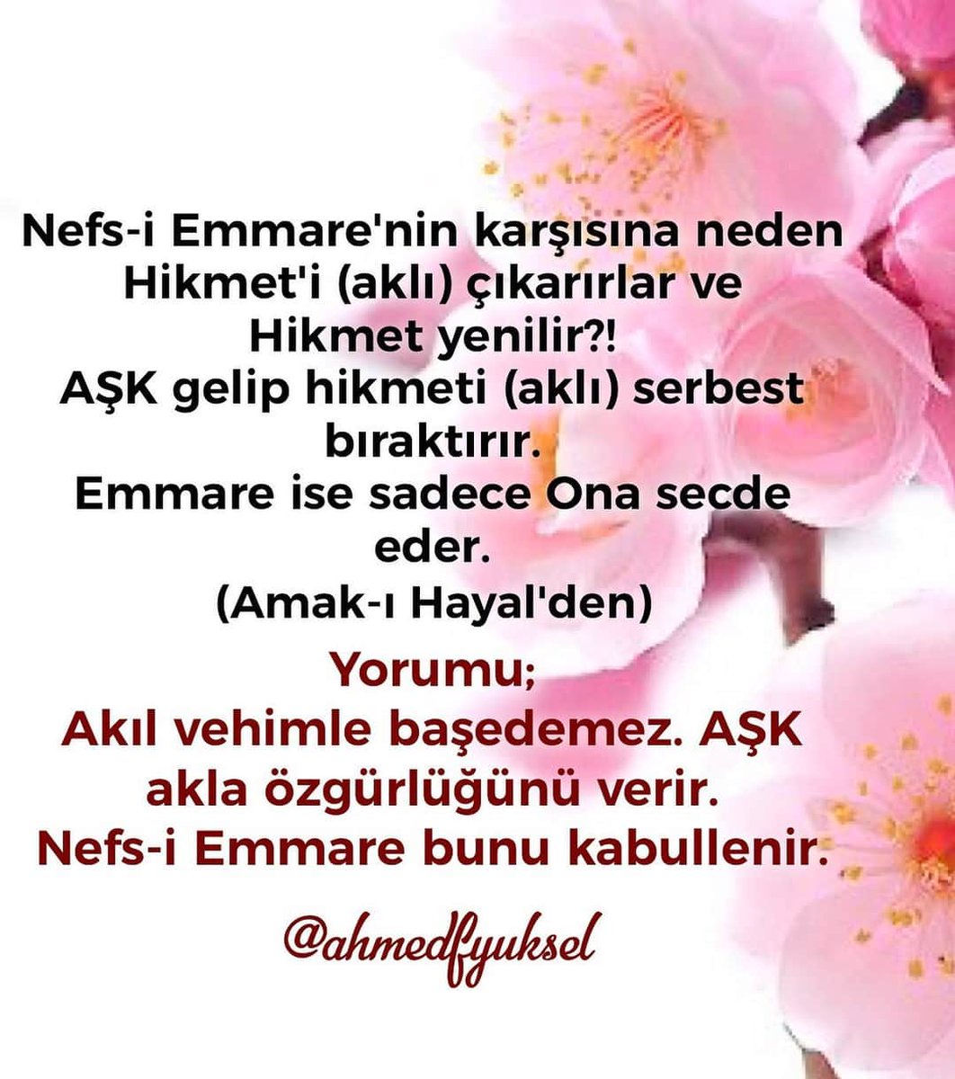 VahdetiVcud's tweet photo. #aşk ❤ #akıl #vehim #şeytaniyet #hikmet #cennet #nefs #emmare #secde #amakıhayal #hayvaninefs #ahmedfyuksel @ahmedfyuksel https://t.co/QEzYWK9Qci
