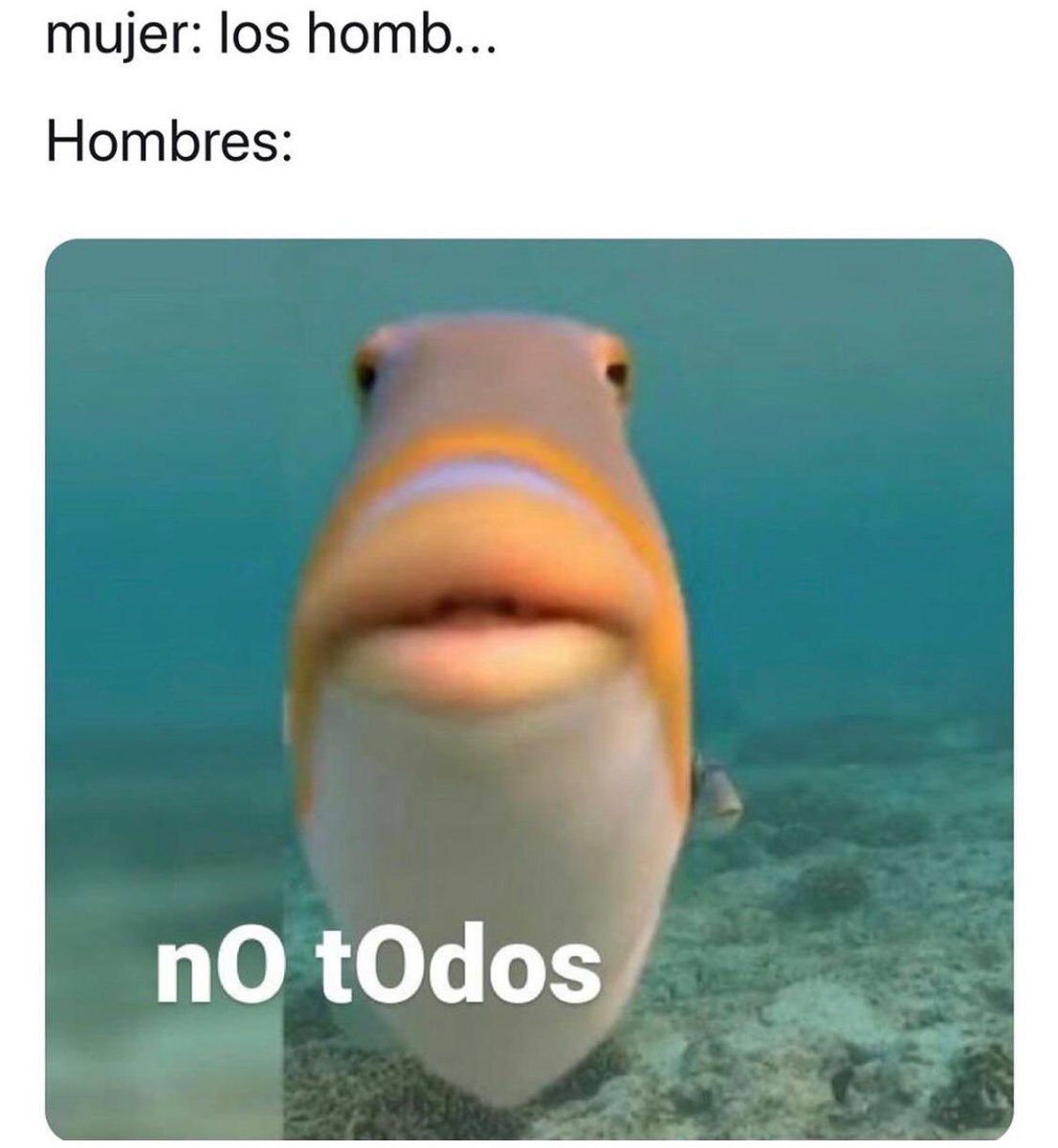 maiuff's tweet photo. @Bebudu Por más que este tuit empiece con “no es general”, no va a faltar el que te diga... https://t.co/7hAR7t1qBI