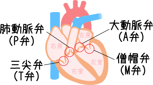 看護師の花子 Hanakonote Twitter