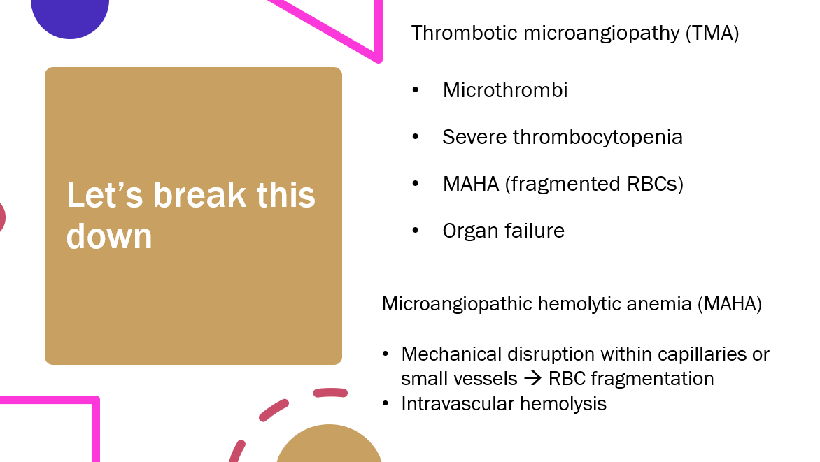   #TTP is a type of disease known as a thrombotic microangiopathy (TMA). It is a condition in which microthrombi form, leading to PLT consumption (thrombocytopenia). When this occurs RBCs are fragmented & become hemolyzed as they travel through microvessels. Organ failure ensues.