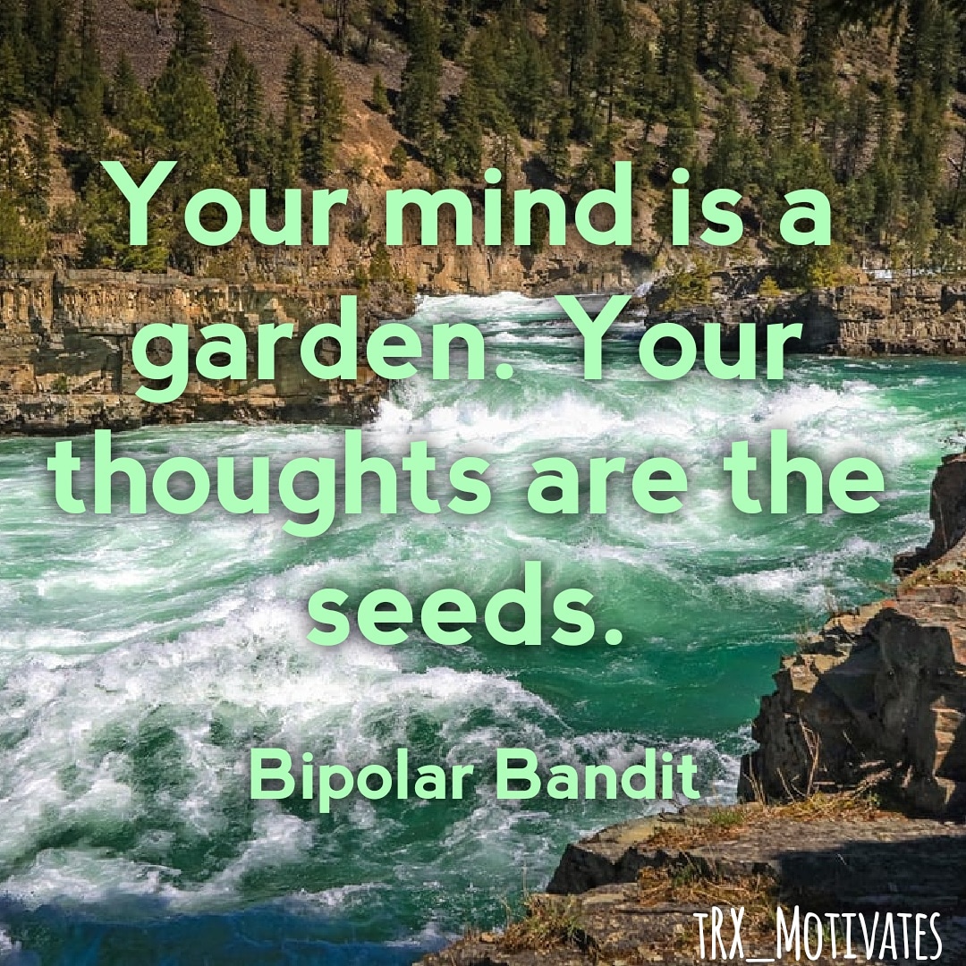 Your mind is a garden. Continue to make it a wonderful Wednesday night!

#bipolarbandit #mentalhealth #growthmindset #uplifting #jerseystrong #blessedbythebest #trxmotivates #wildwooddays