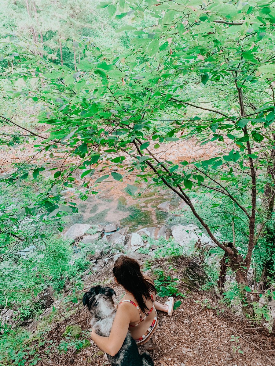 MadisonHall35's tweet photo. I promise nothings better than having a dog to go on adventures with💛 I love my Gracie Lou so much!! https://t.co/7KjyXjvDfR