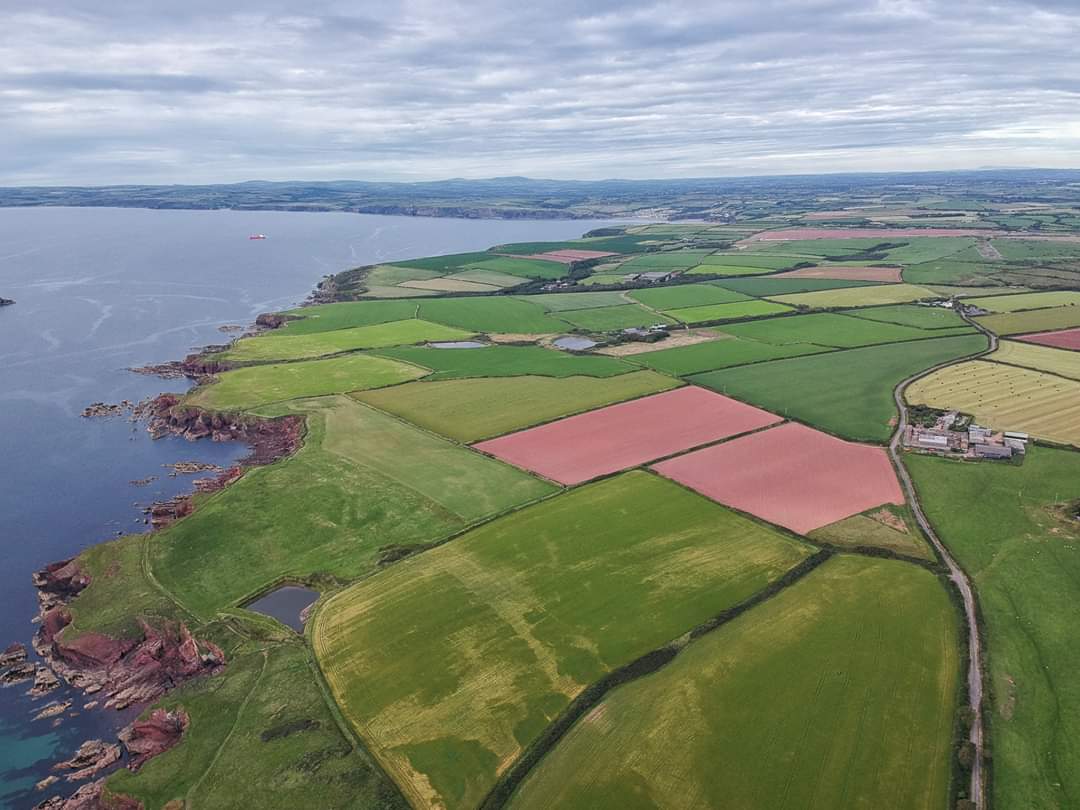 Daiwinn1's tweet photo. St Brides View Pembrokeshire https://t.co/AMD6ywrCsf