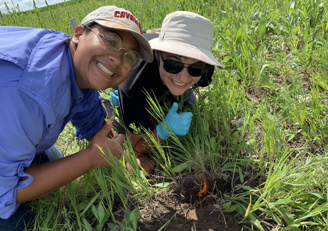 sci_with_miy's tweet photo. Excited to have finally turned in my poster for #Botany2020🌺🐝 Would not have been possible without @IsonJenniferL , @avery_e_pearson , @Bumbling_along , and the rest of the #isonlab! Can’t want to see all of the amazing posters and talks from other scientists 🌿🌴🌼🌳🌲🌵🌱🌻🌸 https://t.co/4dNhJGyi7q