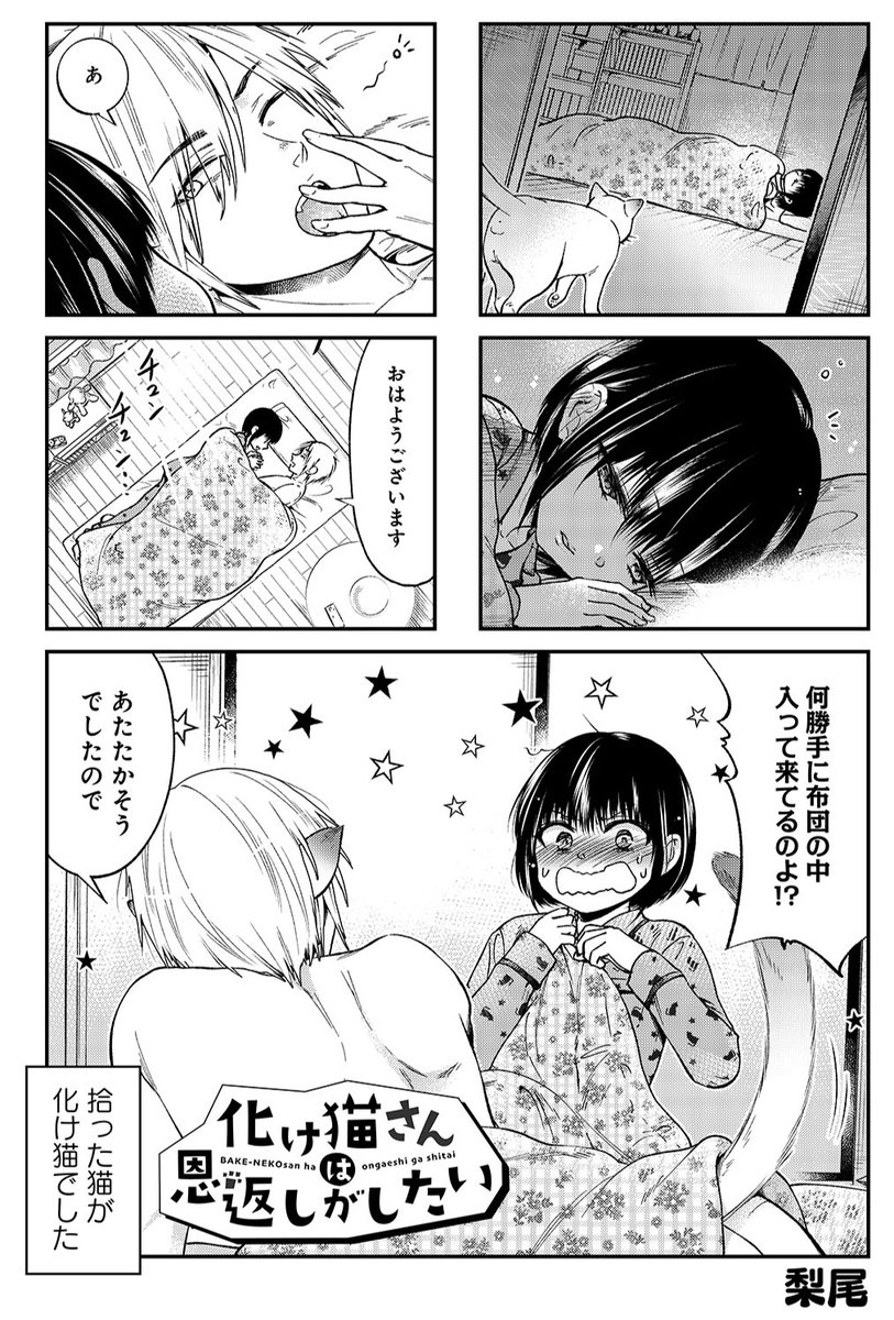 梨尾先生最新刊「化け猫さんは恩返しがしたい」1巻あす7/17発売!
女子中学生と化け猫(♂)のハートフルコメディ♪
Amazon→ https://t.co/hCs5EquVSL
お試し読みは「まんがライフwww」 https://t.co/XHY7azkD9z
#梨尾 #化け猫さんは恩返しがしたい 