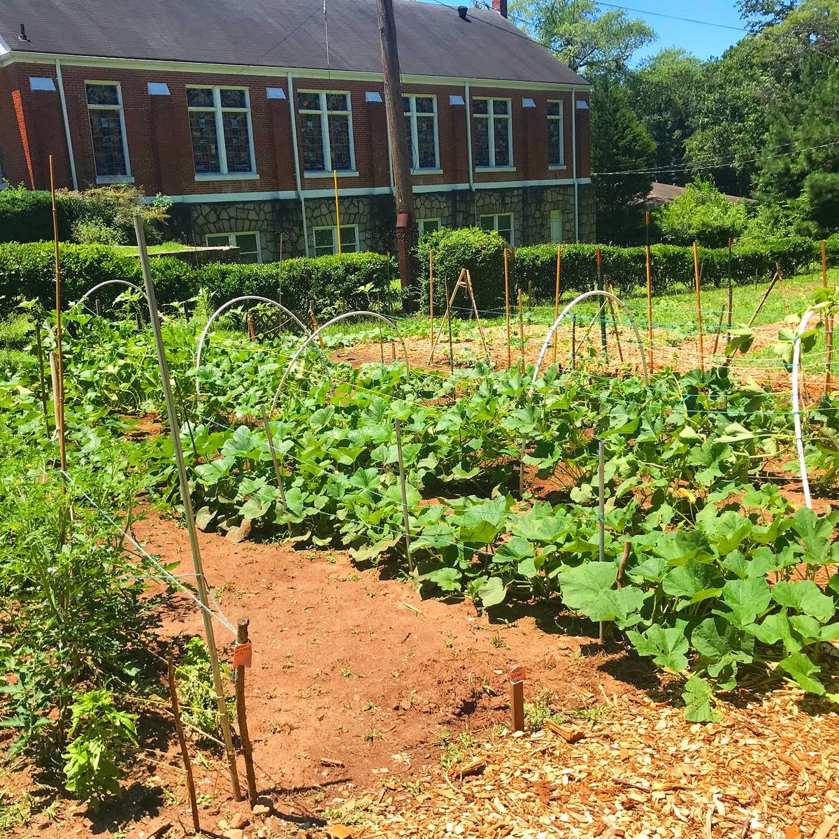 JollyAveGarden's tweet photo. A generous neighbor has donated the use of his land (just a few minutes up the road) for us to start a new community garden! We've been hard at work preparing this new space to provide more refugee families with organic, local, culturally-appropriate fruits and vegetables! https://t.co/ja0v7pOhEd