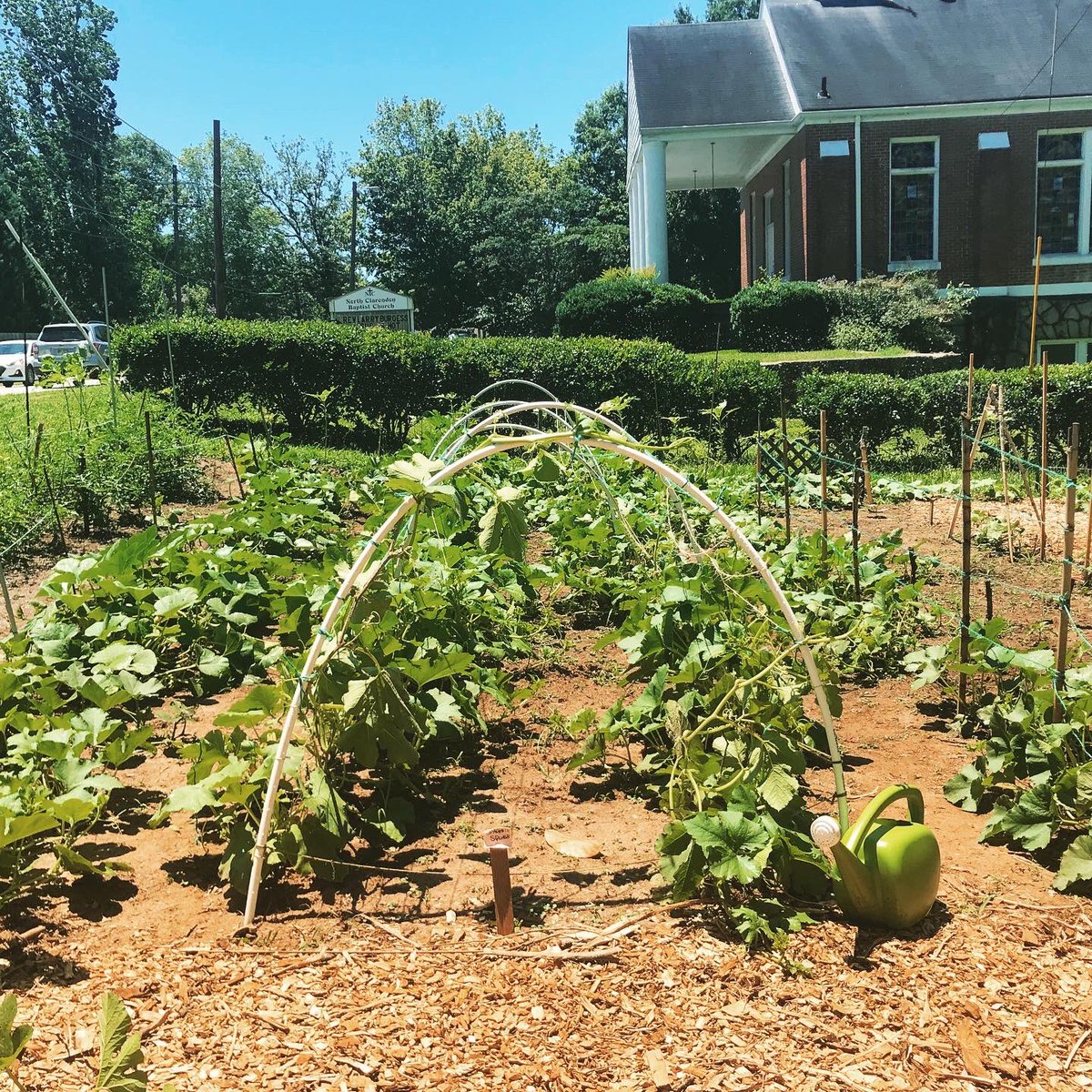 JollyAveGarden's tweet photo. A generous neighbor has donated the use of his land (just a few minutes up the road) for us to start a new community garden! We've been hard at work preparing this new space to provide more refugee families with organic, local, culturally-appropriate fruits and vegetables! https://t.co/ja0v7pOhEd