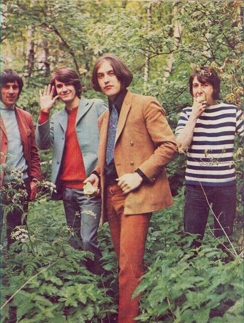 the kinks! (one of my personal favs) members: ray davies (lead singer)dave davies (guitar)pete quaife (bass) mick avory (drums)