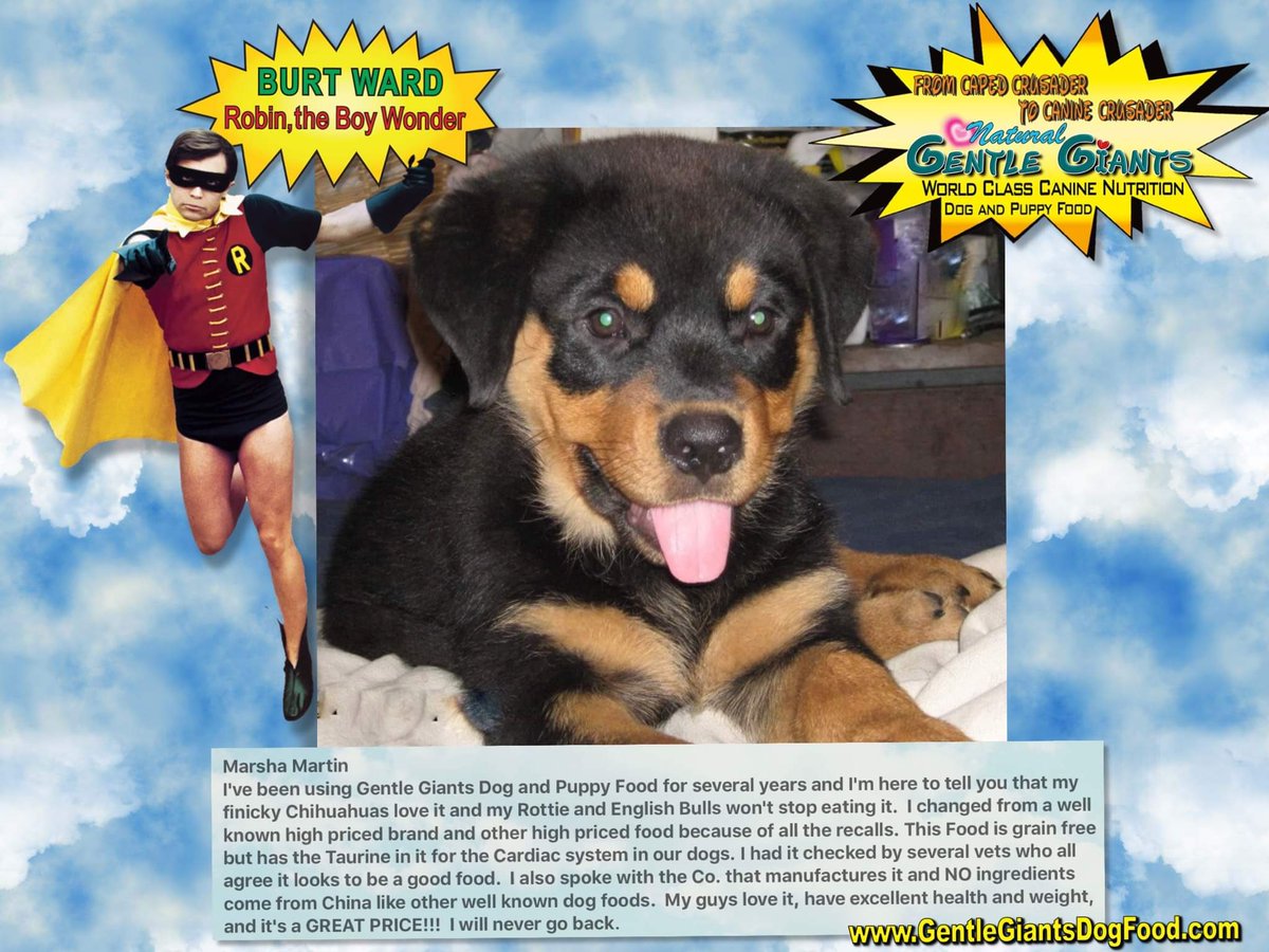 burt ward dog food ingredients