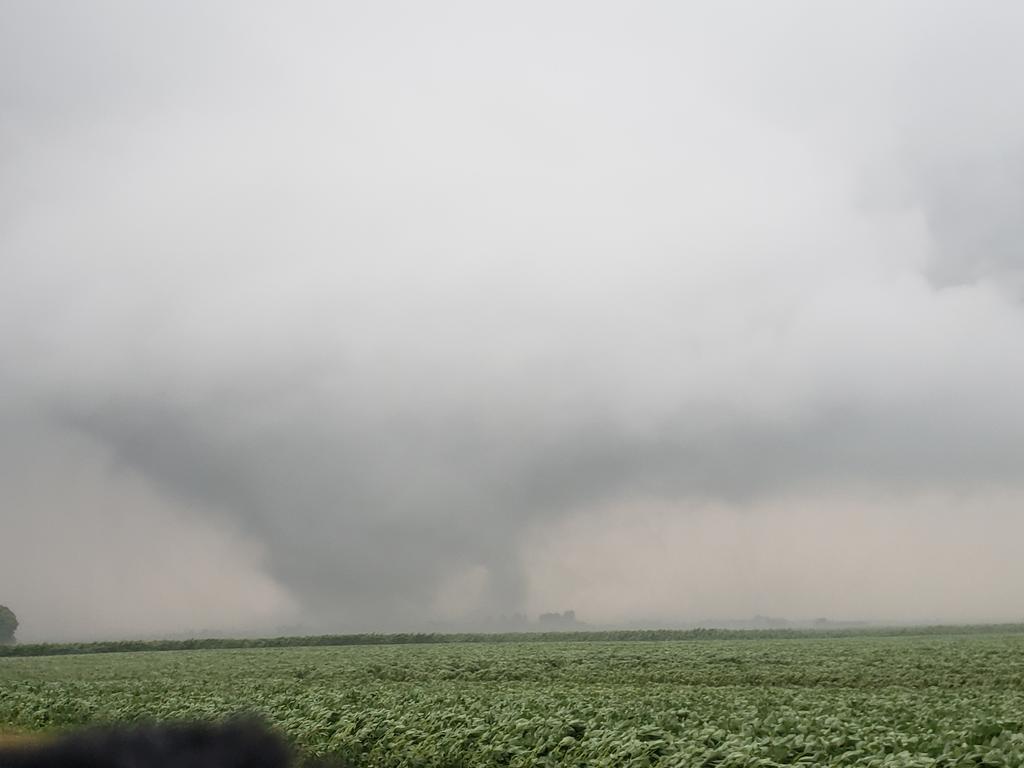 skydrama's tweet photo. Large violent tornado Divernon IL now https://t.co/gwOCL71pn1
