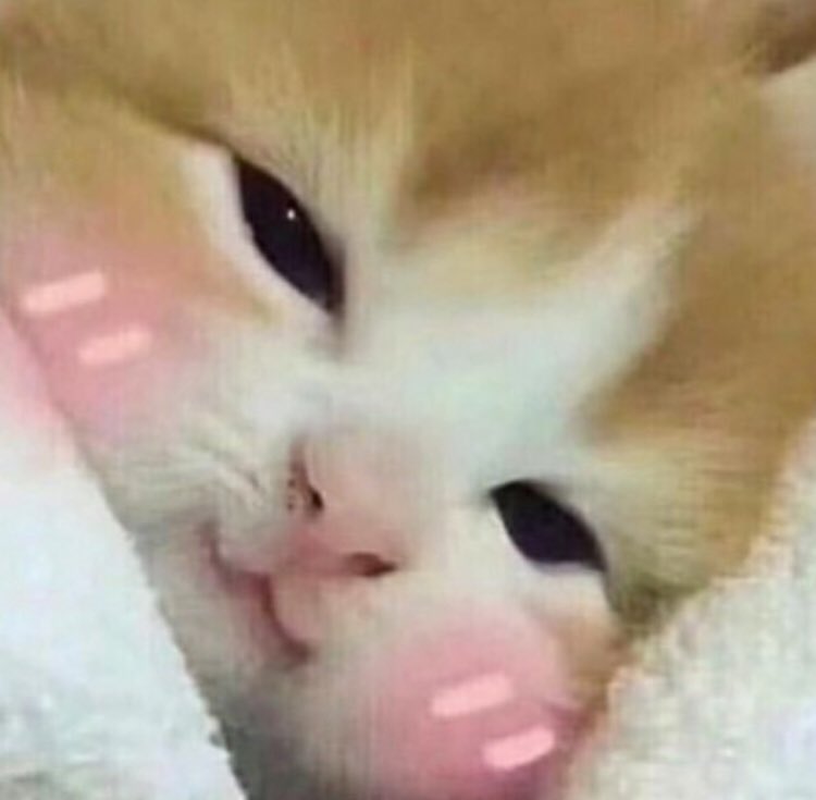 lxttlebbybun's tweet photo. wan go nap :((( https://t.co/hFABfpzruC